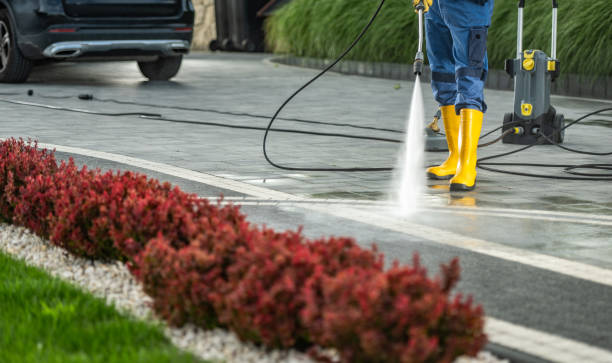 Best Driveway Pressure Washing  in Monrovia, CA
